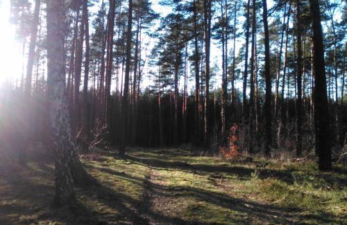 Holiday Home Finnhaus by Interhome - Foto 34