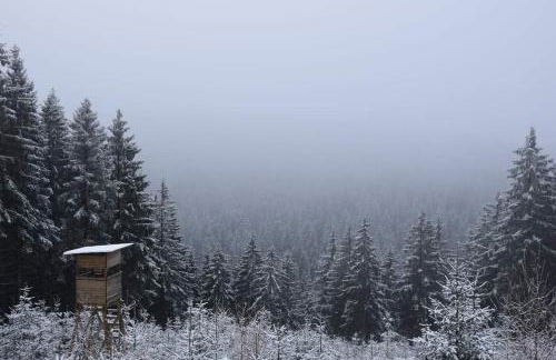Bungalow Schwarzatalblick in Bad Blankenburg Ortsteil Böhlscheiben - Foto 24