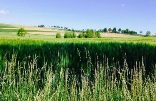 Holiday Home with Terrace - Foto 30