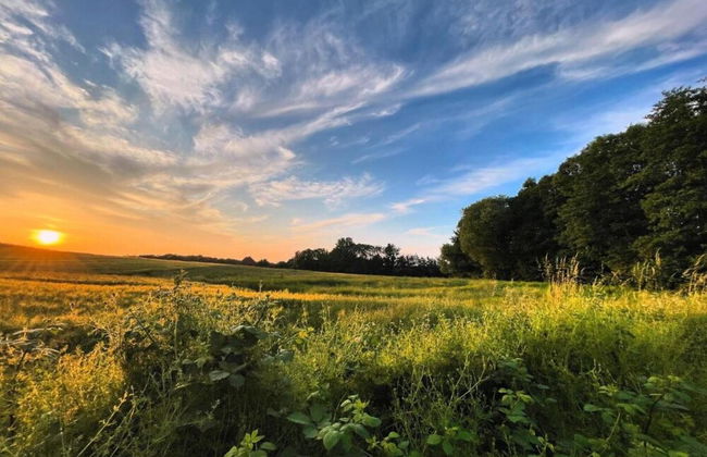 Moderne Ferienwohnung mit Grill in Rakow - Photo 33