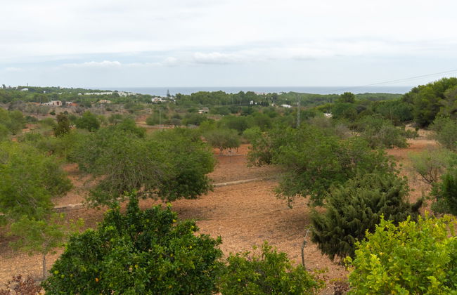 Can Fulgencio II - Foto 28