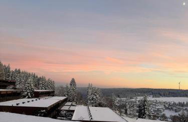 Black Forest Vista - Pool Sauna Tennis - Foto 38