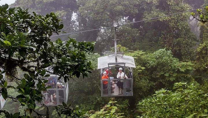 Contemplez la forêt tropicale de Monteverde depuis le Sky Tram