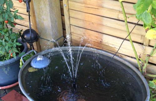 Ferienwohnung Naturpark Südheide im Retro-Style - Foto 13