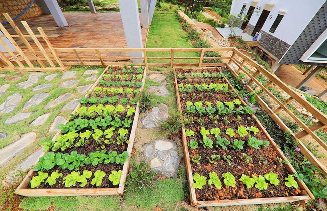 An Nhiên Villa - Photo 69