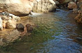 Recanto Schmidt - Photo 22