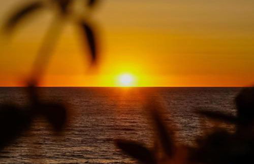 RESIDENZA I GIRASOLI - Spacious private house near the sea, quiet residential area - Lido dei Pini ANZIO - Photo 21