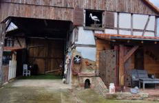 Atelier d Antoine - Foto 10