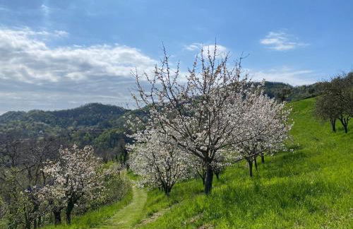 La Casetta in Costa - Foto 20