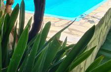 Preciosa casa de pueblo entre Ronda y Setenil La Posada de Catalina - Foto 36