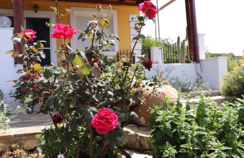 Roussa's View Apartments - Foto 42