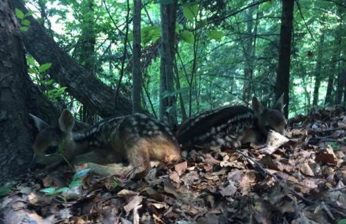 Casa Vacanze La Vite - Foto 41
