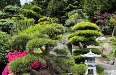 Wiśniowy Sad - Foto 75