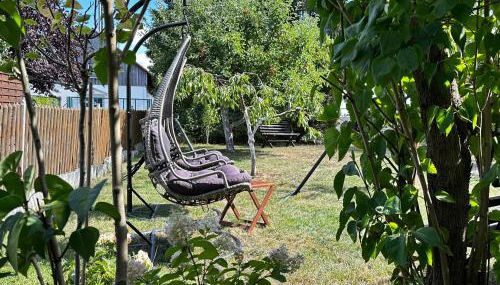 Ferienwohnung Dahlen mit familienfreundlichem Garten - Foto 3, Garden