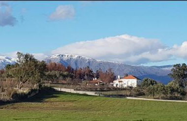 Quinta Lameira do Vale - Photo 11