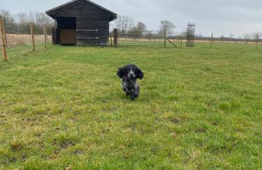 The Old Workhouse Paddocks - Foto 20