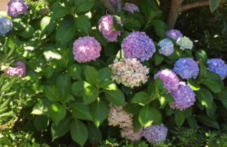 Résidence Casa Favalella - Foto 72