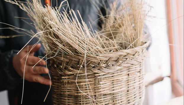 Dive into traditional Peruvian flavors