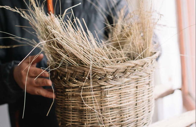Corso di cucina peruviana con pranzo - Foto 2