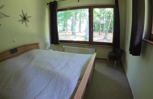 Ferienwohnung Am See mit kleinem Boot und 3er Kajak und 2 SUP - Foto 62