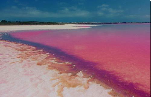 Red Sea Rent Home La veleta Torrevieja ALICANTE - Foto 47