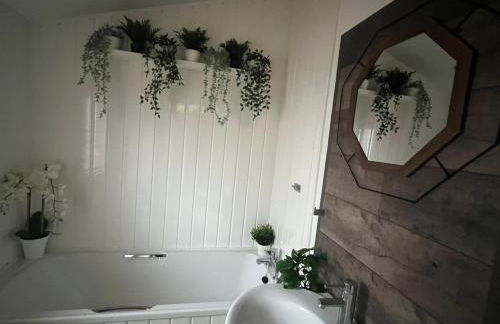 Jungle lodge - Photo 36