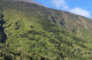 Sunflower Guest House - Madalena - Pico - Photo 22