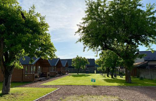 Słoneczny Ogród domki letniskowe Zator - Foto 10