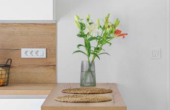 SIDRO Apartments - Foto 27