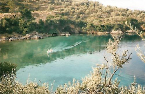 Epavli Sofia' s two Apartments in Horto, 30m from the sea - Foto 68