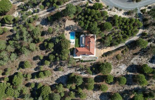 Herdade de Montalvo - Comporta - Foto 10