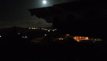 Mar de flores - Foto 5