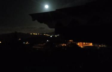 Mar de flores - Foto 5