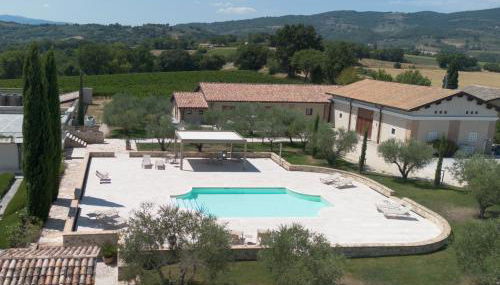 Fattoria Colsanto - Foto 2