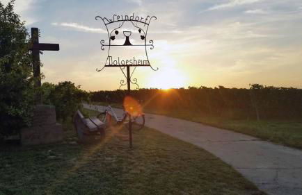 Ferienwohnung Olm - Foto 28