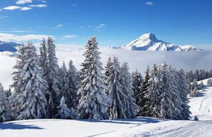 Appartement confortable à La Chapelle-d'Abondance 75 m² avec jardin - Foto 16