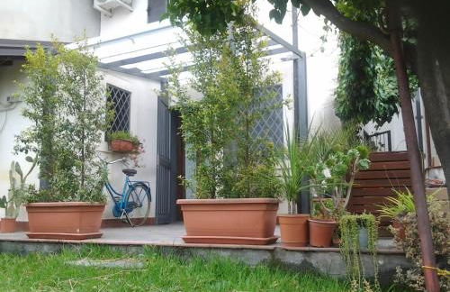 Mamma Etna - Foto 14