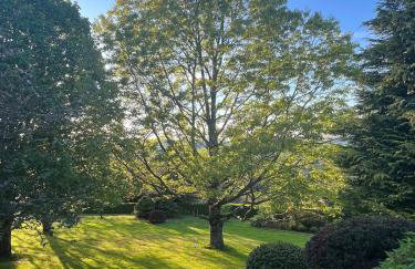 Maison de village, Route des lacs - Foto 33