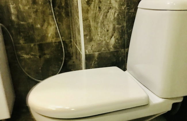 My flat near METEKHI - Foto 42