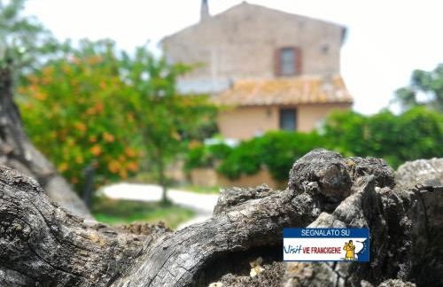 Casaletto Del Pellegrino - Foto 38