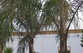 Casa Vacanza L'Agrumeto - Foto 30