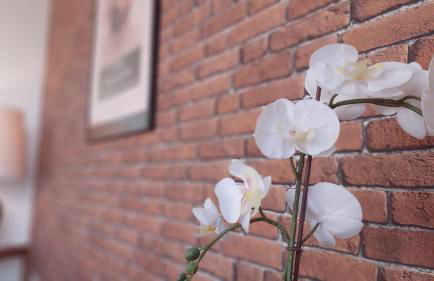 Interpares Swimmingpool by Del Parque Flats - Photo 19