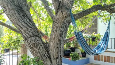 La Noguera de Baena - Foto 3, Garden