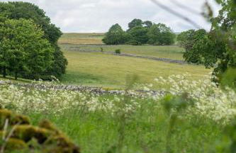 2 Bed in Bakewell oc-dcshel - Foto 15