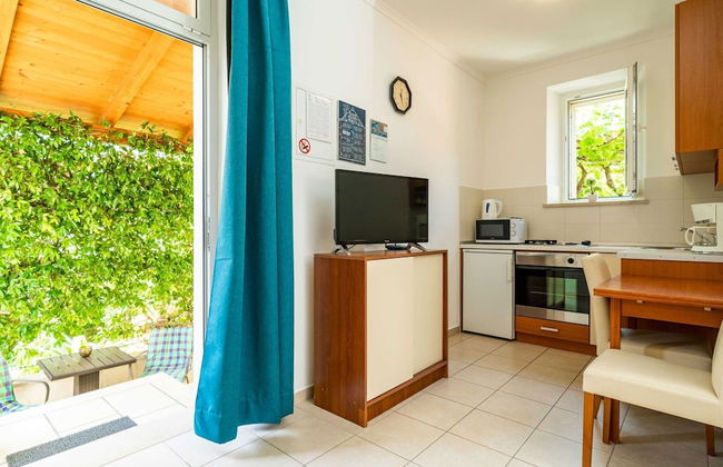 Apartments and Room Frane- Standard Studio With Terrace - Photo 8