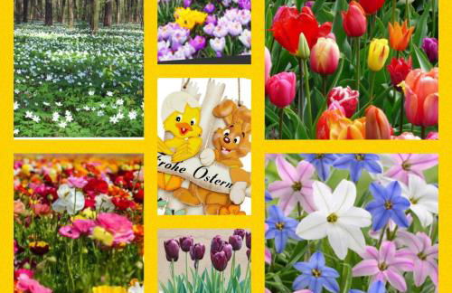 Ferienhaus Heil - Foto 11