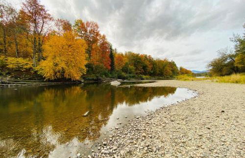 Blackbear Log Cabin - Foto 30