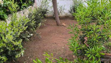 Villa Maria un'oasi di relax a due passi dal mare - Foto 5, Garden, Garden view