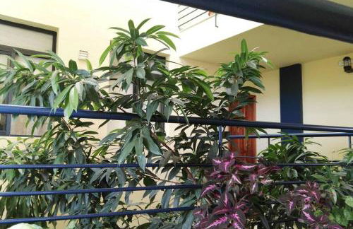 Bonito y amplio piso en Los LLanos de Aridane - Foto 31