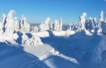 Ferienwohnung Waldidyll - Foto 30